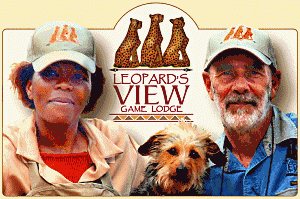 Leopards View Website Designers Durban